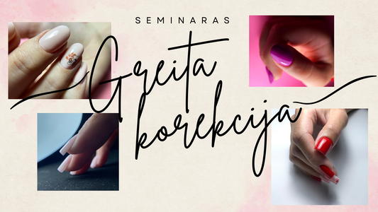 Seminaras Plungėje 09.12d
