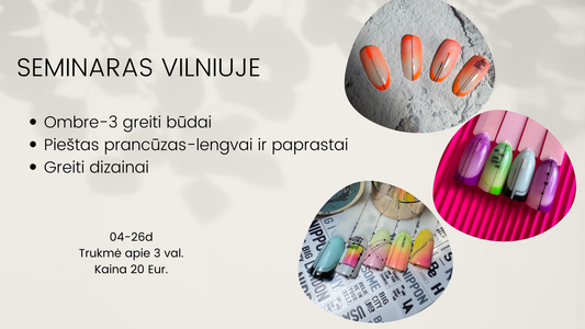Seminaras Vilniuje