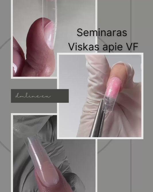 VF seminaras Kaune 06.08d.